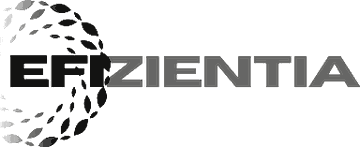 Efizientia